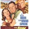 Original US one-sheet vintage movie poster for The Lion (William Holden, Trevor Howard, Capucine), with a group portrait composition and title branding, presented as CinemaScope, marked with NSS 63/3, and described as archival linen backed with original fold marks restored, ready to frame.