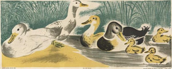 Original 1910–1920s ducks and ducklings children's panel vintage poster, antique lithograph, linen-backed, nature illustration