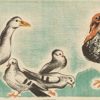 Original 1910–1920s ducks, turkeys and pigeons children's panel vintage poster, antique lithograph, linen-backed, poultry illustration