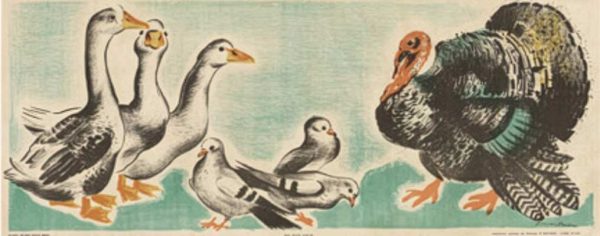 Original 1910–1920s ducks, turkeys and pigeons children's panel vintage poster, antique lithograph, linen-backed, poultry illustration
