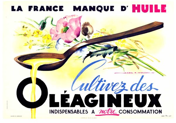 Jean Adrien Mercier La France Manque d'Huile 1943, original French wartime poster, agricultural propaganda design, WWII French resilience messaging, Mercier botanical illustration, 1943 oilseed cultivation campaign, vintage French agricultural poster, wartime French patriotic design, Mercier lithograph original, botanical seed pod imagery, golden oil agricultural imagery, linen-backed vintage poster, wartime French history document, collectible WWII propaganda art, French agricultural heritage poster