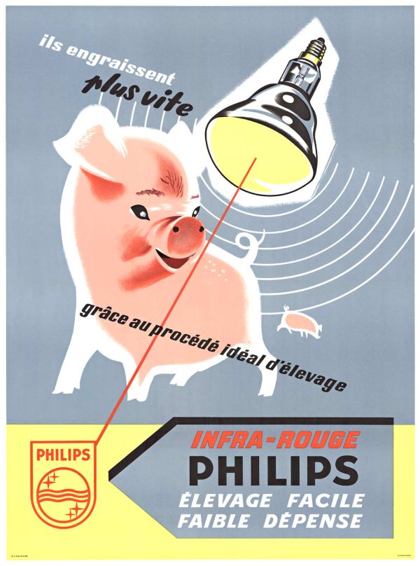 lithograph poster featuring a small pink piglet beneath a glowing yellow heat lamp against a soft grey-blue background. Concentric circles radiate from the lamp suggesting warmth. Red French text reads "they fatten faster thanks to the ideal rearing process." Philips logo and "INFRA-ROUGE PHILIPS" in red and black at base.