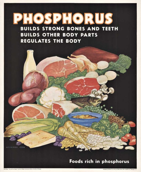 Educational nutrition poster featuring abundant arrangement of phosphorus-rich foods (meats, fish, eggs, dairy, legumes, grains, vegetables) against bold black background; mid-century modern design with warm reds, golds, and earth tones; cream and golden title text.