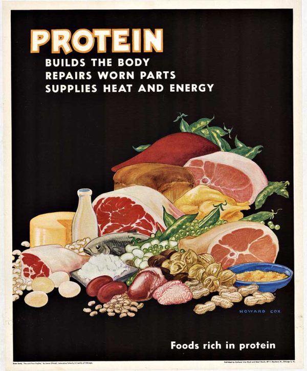 Nutritional education poster featuring abundant arrangement of protein-rich foods (steaks, ham, fish, eggs, cheese, nuts, legumes, dairy) against bold black background; mid-century modern design with warm reds, pinks, golds, and earth tones; golden title text at top. PRODUCT TAGS: