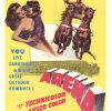 Original 1953 Arena U.S. one-sheet vintage movie poster, 27x41.5 inches, offset lithograph, linen backed, first 3-D Western MGM Gig Young Jean Hagen