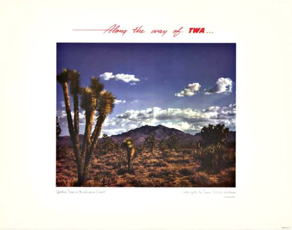 TWA travel poster showing Joshua trees in a desert landscape with mountains and wide sky, framed photograph with “Along the way” text.