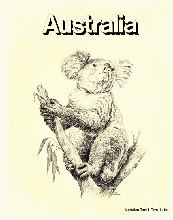 Vintage Australia Koala poster linen-backed Original Peter Hawthorn Australian Tourist Commission circa 1970–1975